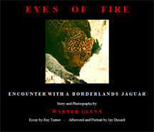 Eyes of Fire cover