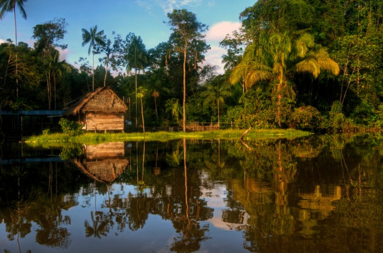 Amazon River Reflections by Mariusz Kluzniak. CC BY-NC-ND 2.0