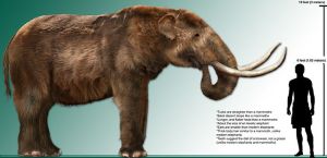 Early humans likely contributed to the extinction of animals like the American mastodon (Mammut americanum). Mastodon rendering by Dantheman9758. CC BY 3.0