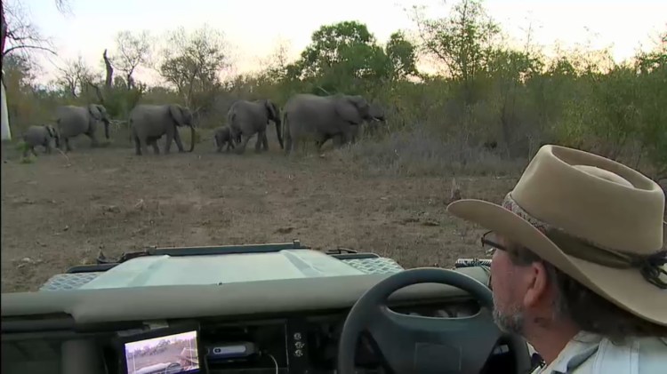 Marc and Ellies 5.22.15