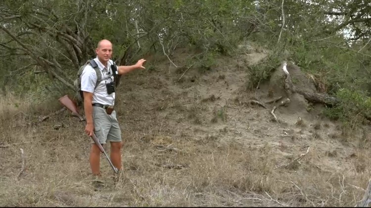 Stefan talking about a large termite mound on May 7, 2015. Stefan leads the walking safaris, and that rifle is solely for protection.