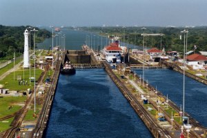 Jaguars are able to cross the enormously busy Panam Canal, possibly aided by the presence of Barro Colorado Island. If proper steps are taken, they may also find a way across the Nicaraguan Interoceanic Canal.