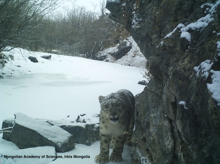 11194472_406468702890311_5951449737785941349_o