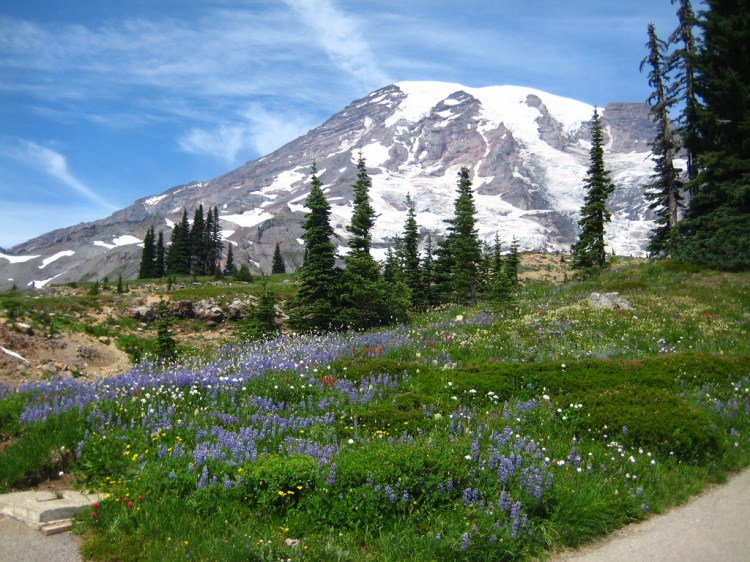Mount Rainier is one of the "wild places" that has left a mark on me. Very Rare by Maggie Tacheny. CC BY-NC 2.0