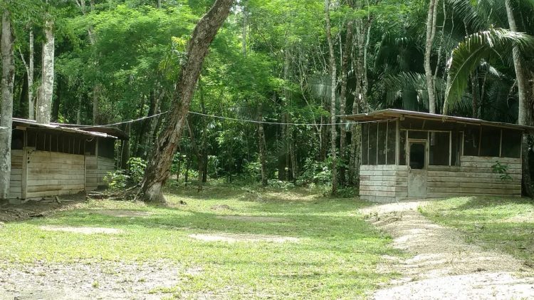 A cabin in the jungle.