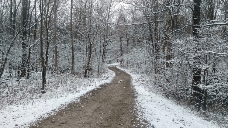 A path through a snow-covered woodland.
