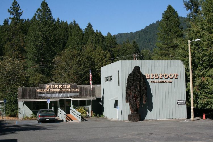 A shot of the Bigfoot Museum in Willow Creek, California.