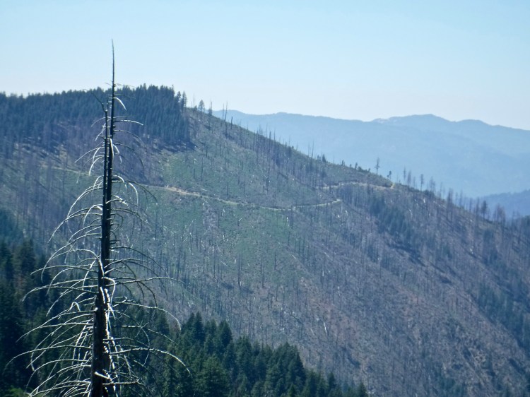 A mountain road in the distance.
