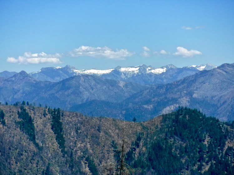 Snow-capped mountains in the distance.