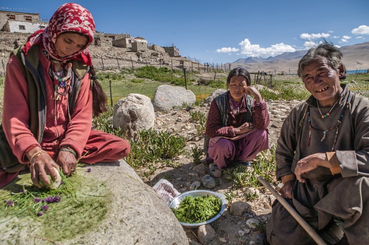 A group of women making spices in the Ladakh region of India.