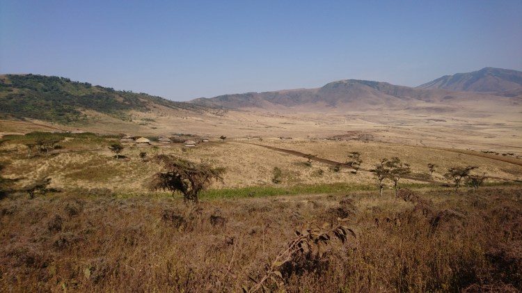 A shot of a plain in Tanzania.