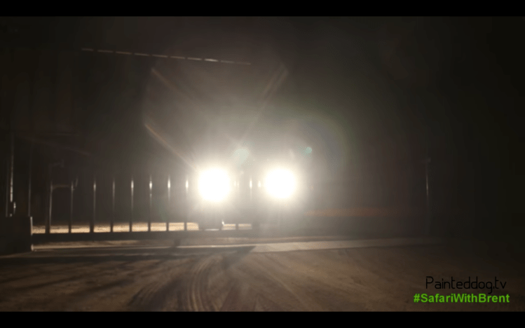 The headlights of a Land Rover in the dark.