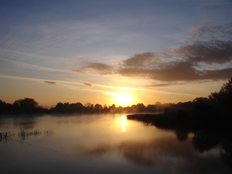 Sunrise over a marsh or pond.