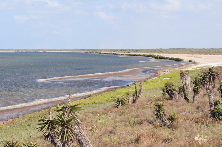 The coastline at Laguna Atascosa National Wildlife Refuge