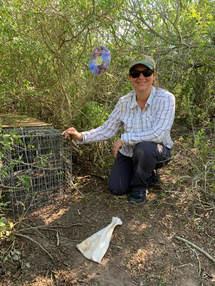 Dr. Shari Wilcox in the field.