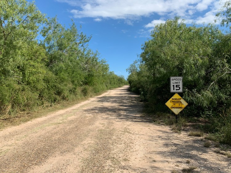 A dirt road with an ocelot crossing sign.
